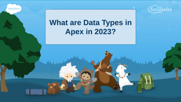 What are Data Types in Apex in 2023?