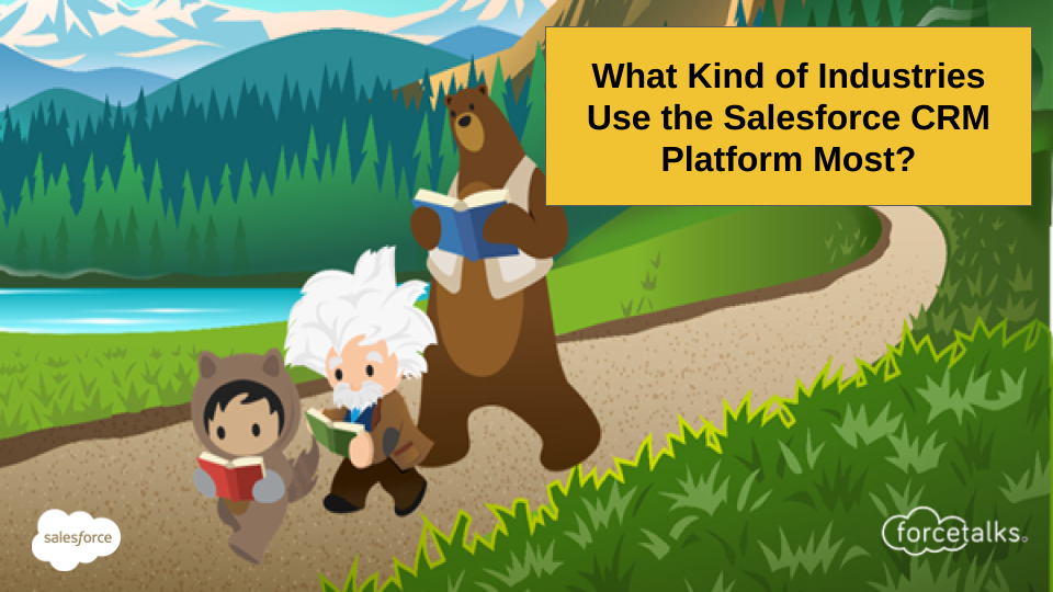 What Kind of Industries Use the Salesforce CRM Platform Most?