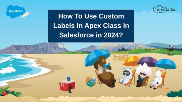 How To Use Custom Labels In Apex Class In Salesforce in 2024?