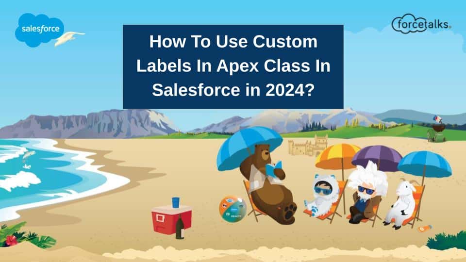 How To Use Custom Labels In Apex Class In Salesforce in 2024?