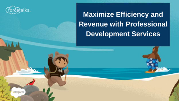 Maximize Efficiency and Revenue with Professional Salesforce Development Services