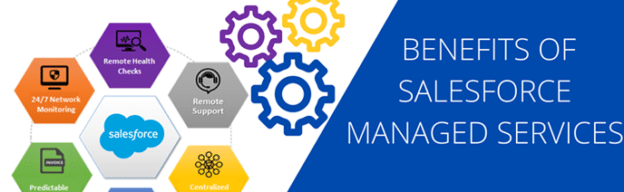 Comprehensive Salesforce Managed Services for Growing Businesses