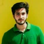 romil-singhalgoworks-com